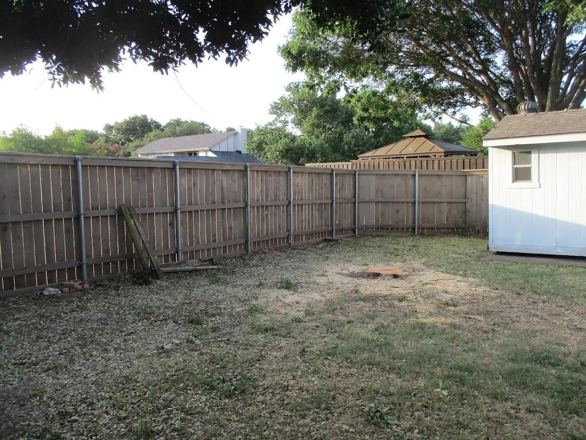 Cleared yard after professional tree removal in Amagansett